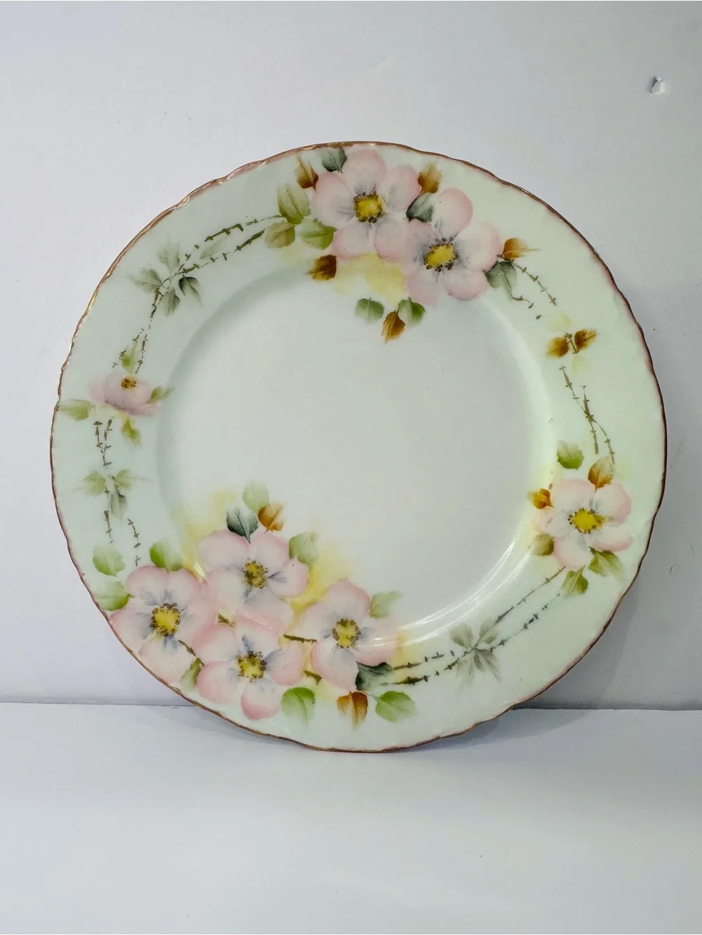 R. & C. Versailles Bavaria Floral Decorative Porcelain Plate 6 in Pink Green